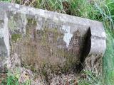 image of grave number 599619